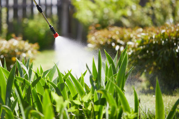 24/7 Emergency Mosquito Control experts in Santa Nella, CA